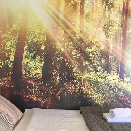 Отель Jelka Pokljuka