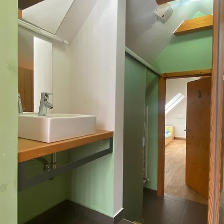 מלון Jelka Pokljuka 3*