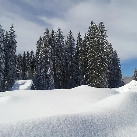 Отель Jelka Pokljuka