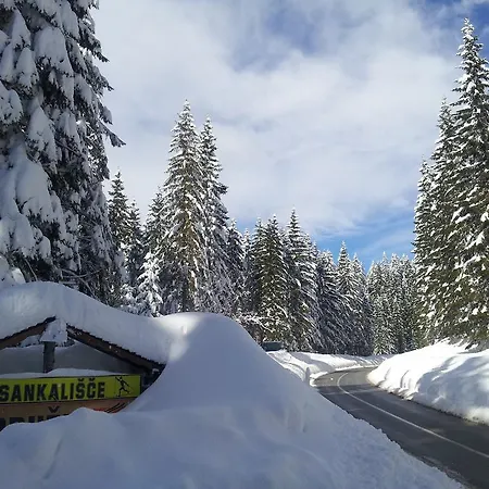 Jelka Pokljuka Goreljek