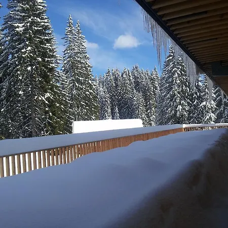 Jelka Pokljuka 3*