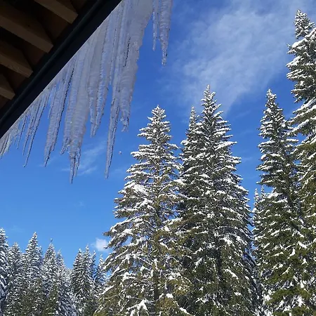 Jelka Pokljuka Отель 3*