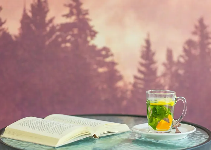 伯祖卡耶尔卡酒店 3*