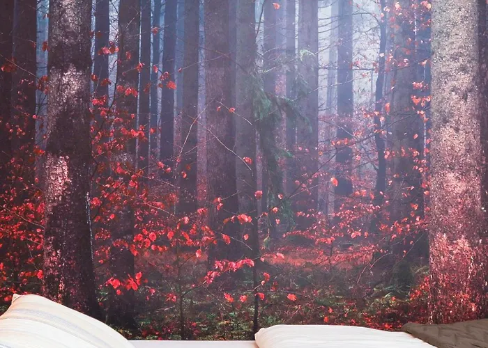 伯祖卡耶尔卡酒店