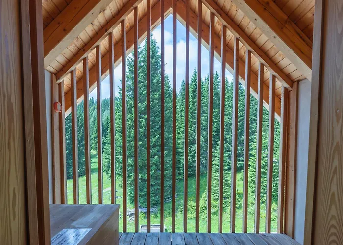 酒店 伯祖卡耶尔卡酒店 3*