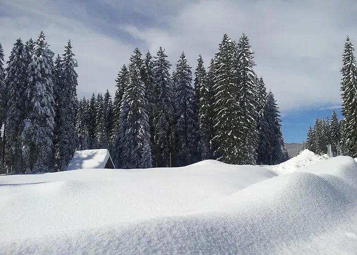 Hotel Jelka Pokljuka