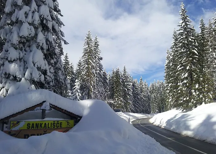 Jelka Pokljuka Goreljek