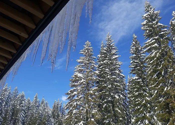 Jelka Pokljuka Hotel 3*